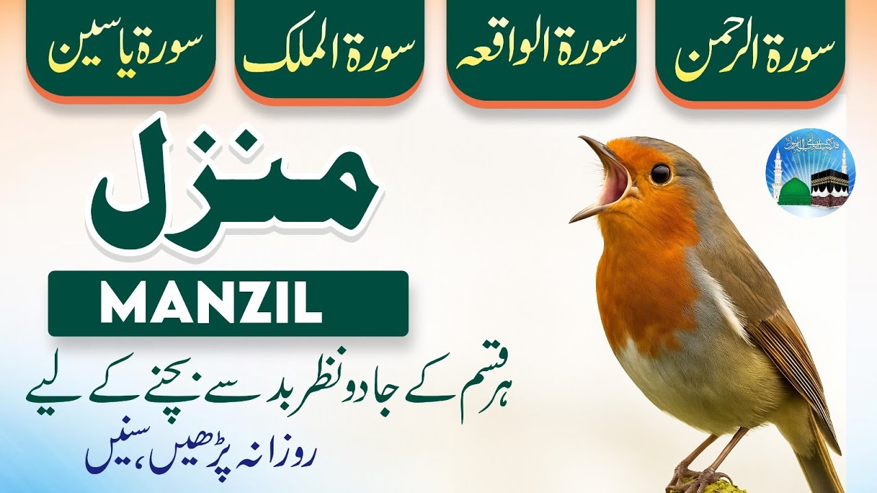 Manzil Dua | Surah Waqiah 🤲🌺  Rehman | Surah Yaseen | Surah Al-Mulk | Dua | Episode_334