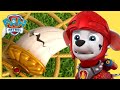 PAW Patrol Royal Rescues! 👑 | PAW Patrol Compilation   More Cartoons for kids