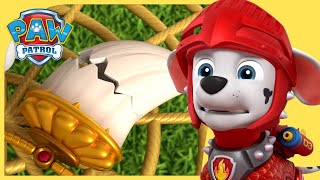 Paw Patrol Royal Rescues Paw Patrol Compilation More Cartoons For Kids