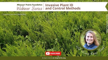 MPF Webinar: Invasive Plant ID & Control Methods