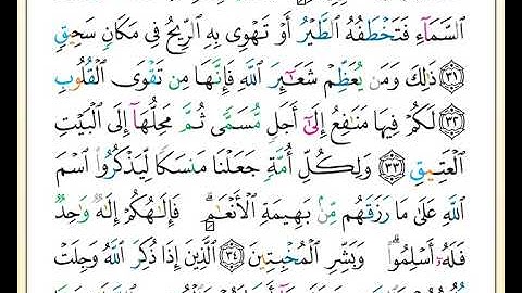 ختمة تلاوة لمصحف التجويد بصوت القارئ محمد حبش الصفحة رقم 336