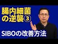 腸内細菌の逆襲 ③（SIBOの治し方）