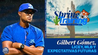 GILBERT GÓMEZ - Licey, MLB y expectativas futuras