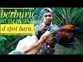 Berburu AYAM HUTAN...dimasak dipinggir laut