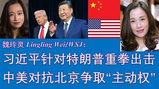野猫论政 2903：魏玲灵 - 习近平针对特朗普重拳出击；中美对抗，北京争取“主动权”