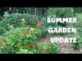 Summer Garden Tour (Cucumbers Galore!)