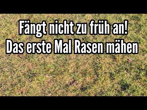 Ab wann man den Rasen das erste Mal im Jahr mhen sollte!