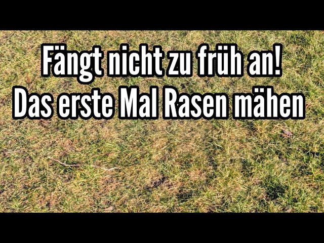 Ab wann man den Rasen das erste Mal im Jahr mhen sollte!