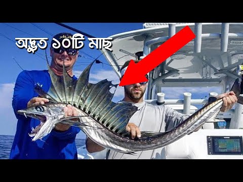 ভিডিও: সমুদ্রের বকথর্ন দিয়ে কী করা যায়