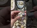 Garlic peeling process - Good tools and machinery make work easy