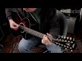 Taylor 562CE 12-String V-Class Demo