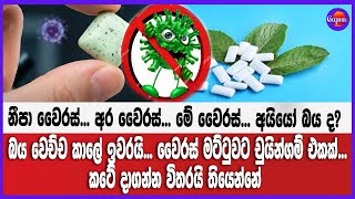 නීපා වෛරස්... අර වෛරස්... මේ වෛරස්...  වෛරස් මට්ටුවට චුයින්ගම් එකක්... කටේ දාගන්න විතරයි තියෙන්නේ