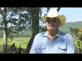 Spanberger declares state of emergency as Virginia farmers battle hay shortage, drought