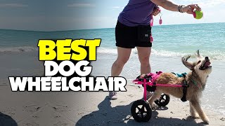 TOP 5: Best Dog Wheelchair 2023 | Our Top Picks!