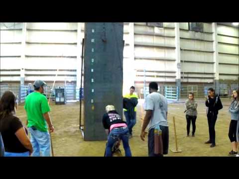 ADBA Top Dog Athletic Event - Wall Climb
