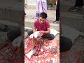 Rohu fish cutting expert || ARS fish cutting by arshad