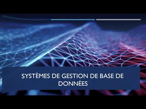 Comprendre les Systèmes de Gestion de Base de Données (SGBD)