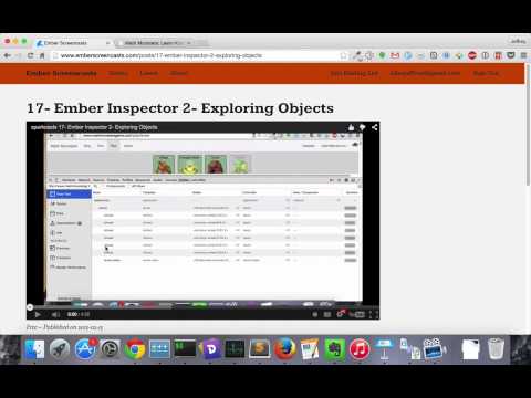 31- ember inspector 5- data
