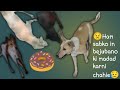 Helping homeless dogs 😥 #@unknownfriend0 #helpthemfoundation