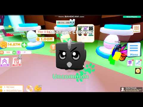 ვყიდულობ მძვირად ღირებულიან კვერცხებს ვხარჯავ 1000000მილიონებს