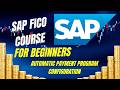 Automatic Payment Program Configuration in SAP FICO