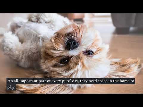 10 Vital Tips For Pet Friendly Interior Design Success
