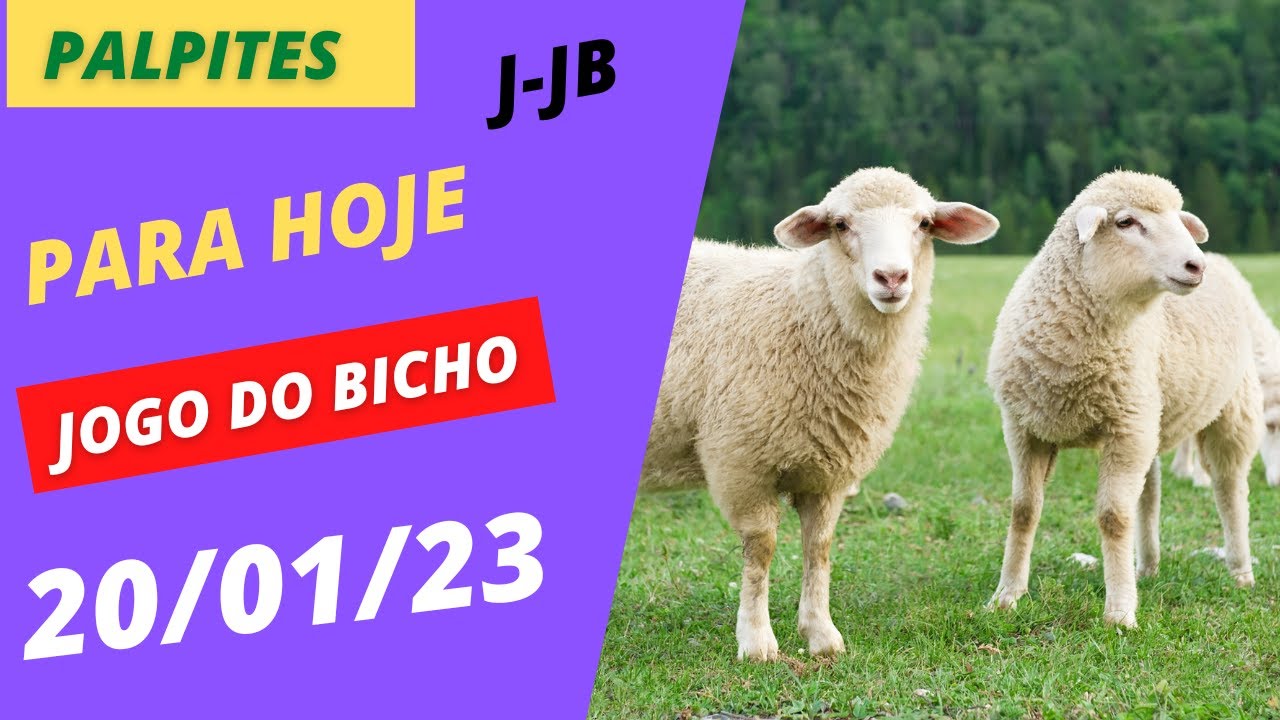 palpites para hoje para o jogo do bicho 20/01/23 - YouTube