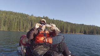 Trout Trolling Tactics: The Angle Of The Sun!