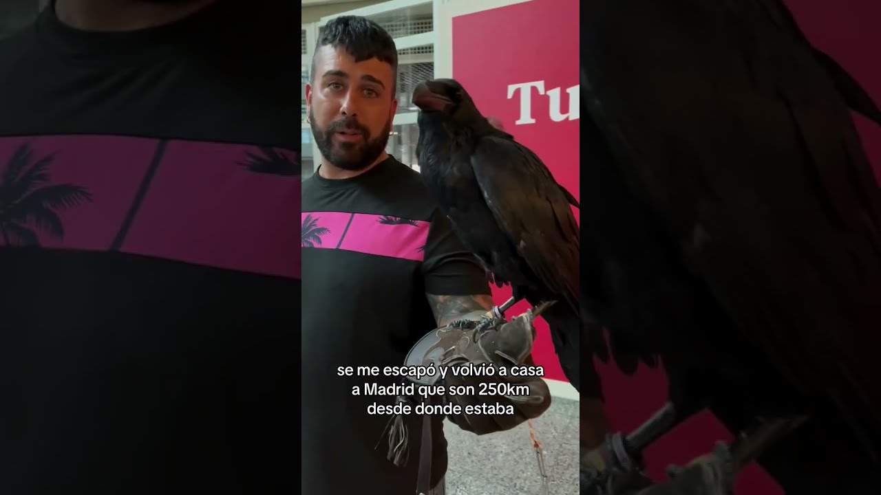 🐦 El adiestrador de cuervos