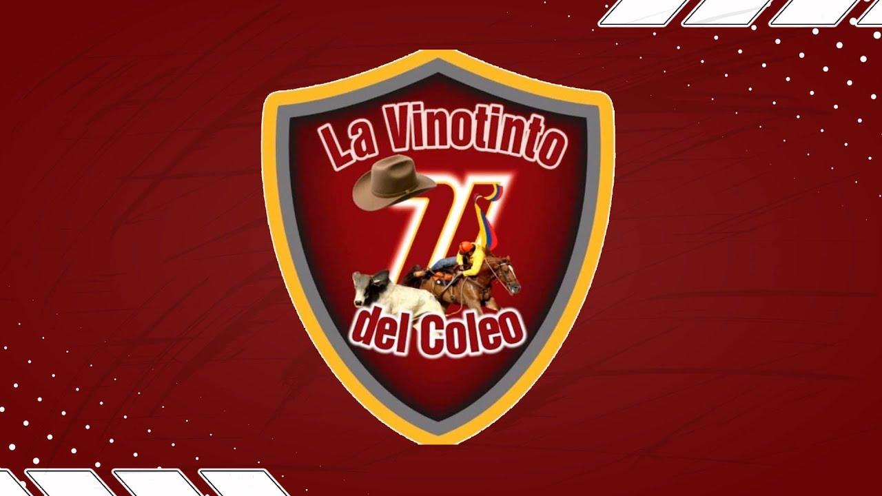 VINOTINTO DEL COLEO - COPA SERVICABLE DIA 2
