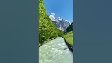 القارئ : بدر النفيس
