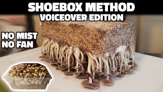 Grow Mushrooms at Home with the Shoebox Tek (Voiceover)