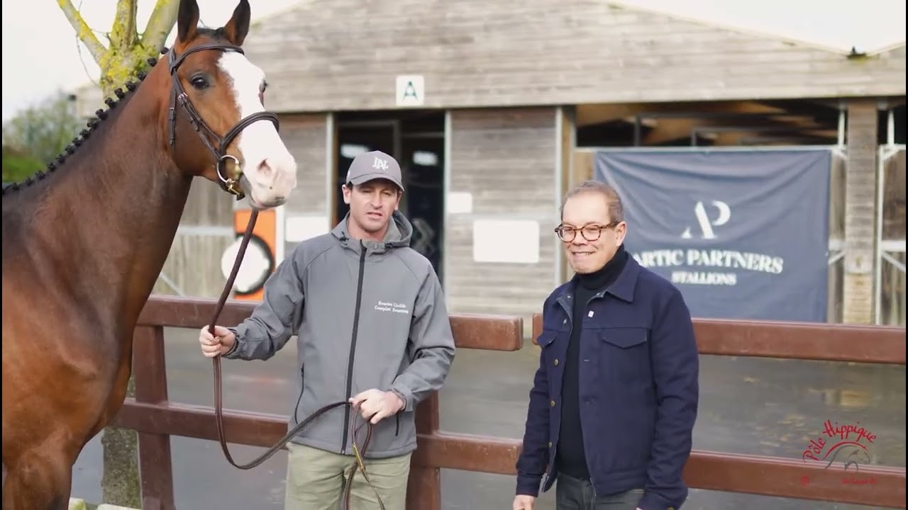 NAPOLÉON - Salon des étalons St Lô2026 - Interview GrandPrix.tv avec Kamel Boudra 