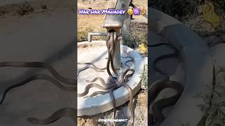 💫Har Har Mahadev 😢🕉🔱 #hyperrealism #mahadev #shiv #art #viral #shorts #trending