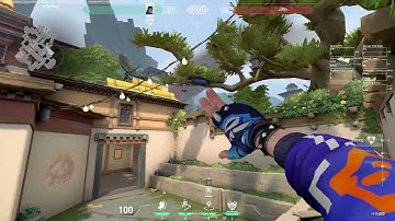 Yoru Tp + Flash Lineup for Haven A Long