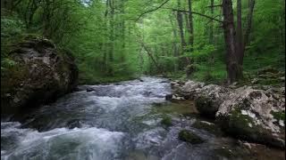 Vídeo de ríos gratis sin copyright 1 / Paisaje / Piedra / Naturaleza - Pixabay