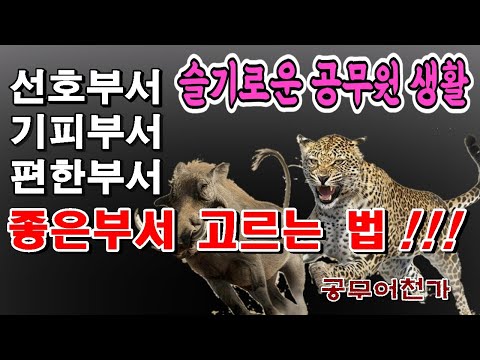   공무원 선호부서 요직 보다 플랜B 원한다면 좋은부서 따로있다 공무원생활 잘하는법 기피부서 과장 출신 공무원이 알려 드림