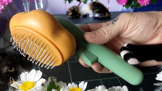 PTLOM Pet Grooming Brush - Test & Review by Paw Record 197 views 2 months ago 1 minute, 54 seconds