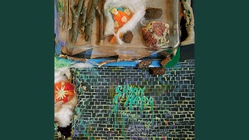 They Keep Calling Me