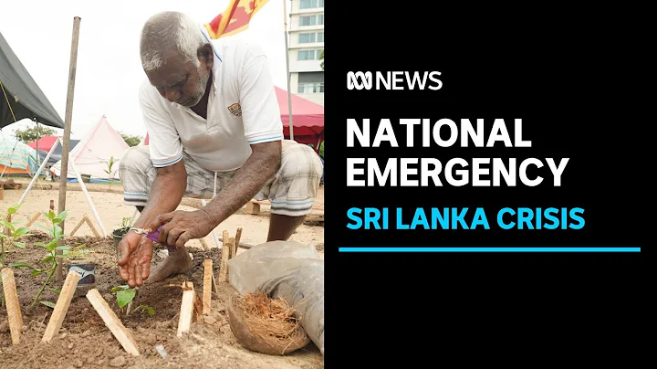 Sri Lanka's economic crisis has turned into a national emergency | ABC News - DayDayNews