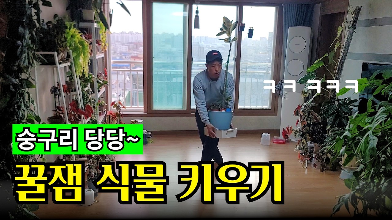 식물 집사의 반복되는 진짜 루틴🌿 거실 정원 대청소부터 명당 찾기까지! 꿀잼 식물키우기 루틴