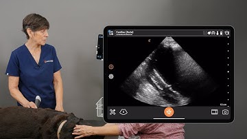 Clarius Vet AutoPresetAI