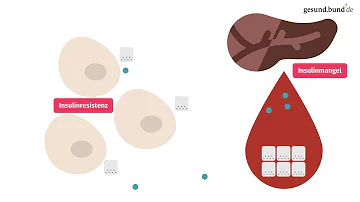 Warum ist Diabetes Typ 2 so gefährlich?