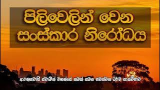 පිලිවෙලින් වෙන සංස්කාර නිරෝධය | ආරණ්‍යවාසී ස්වාමින් වහන්සේ නමක් සමග පවත්වන ධර්ම සාකච්ඡාව