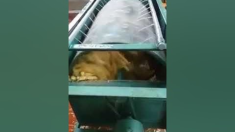 Máy rửa củ nghệ tươi, máy rửa củ quả LH 0984 957 602