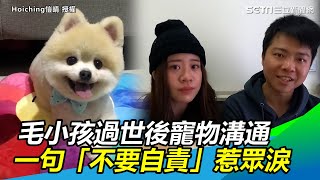 毛小孩過世後嘗試寵物溝通一句 不要自責 惹眾淚 三立新聞網setn Com Youtube