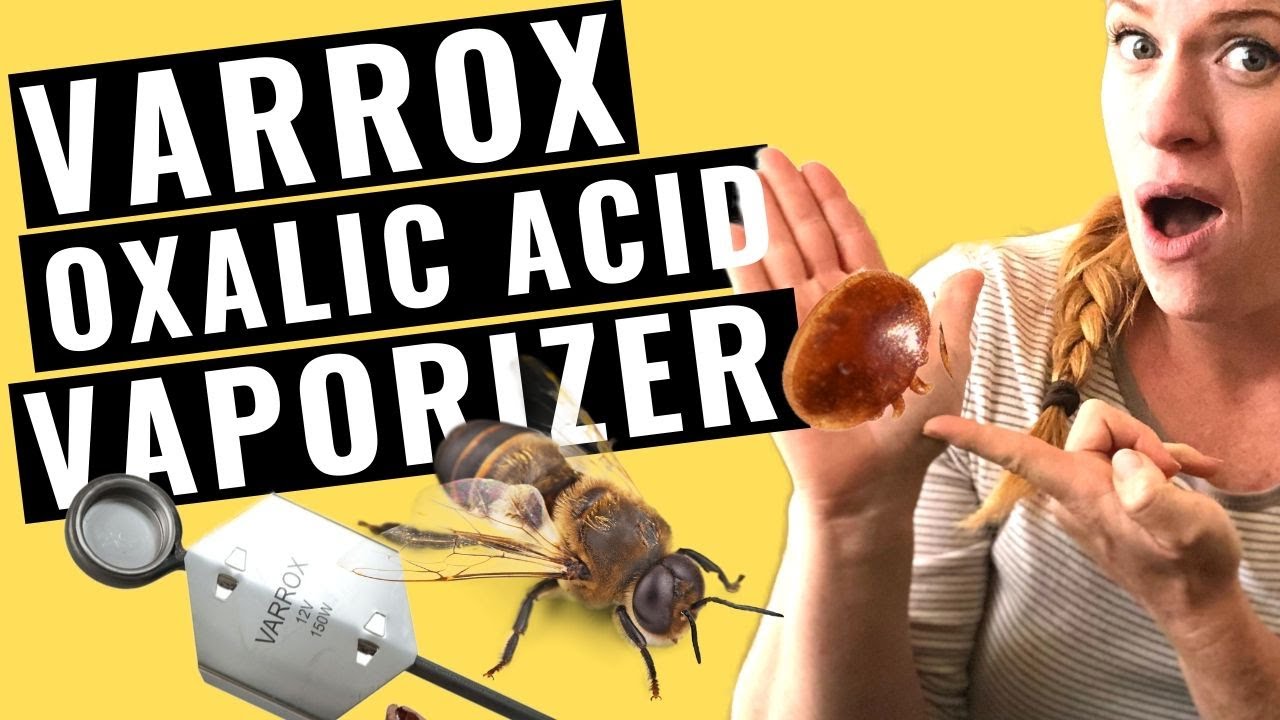 Oxalic Acid Vaporizer Blue Ridge Bee Company