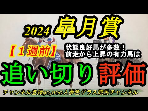 【1週前追い切り評価】2024皐月賞！前走から更に上積みありそうな実力馬は？久々レガレイラの精神面もポイントに