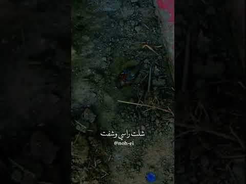 شفت عصفور ميت كل جرح ما بي الراحل سمير صبيح