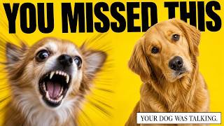 Understanding Dog Behavior (Simple Guide Every Owner Needs)